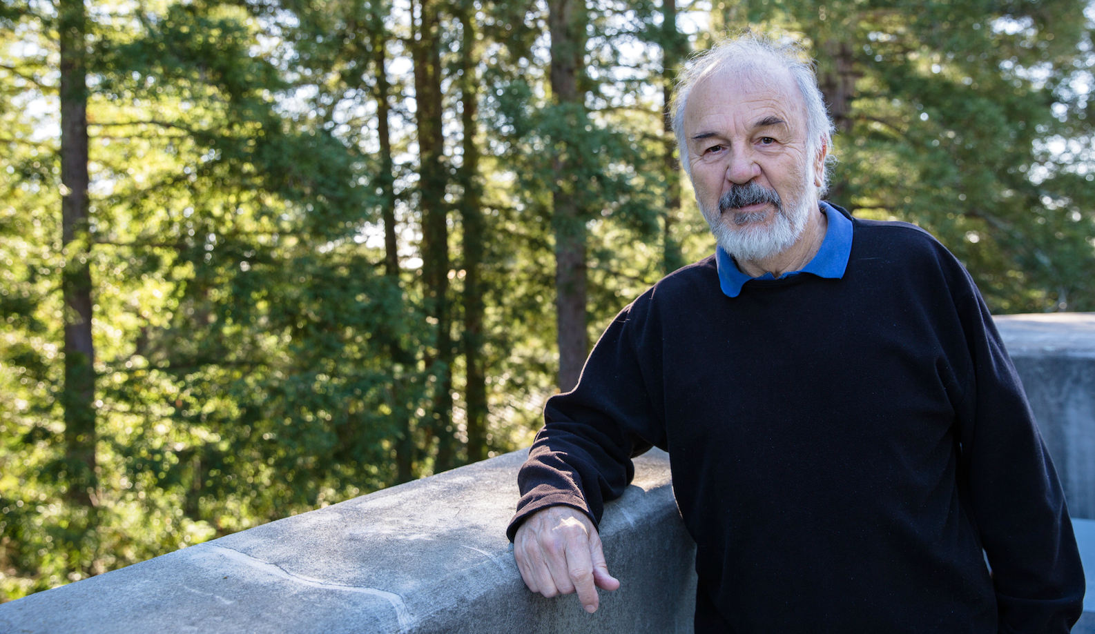 Harry Noller